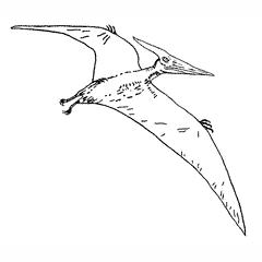 Pterodactyl Pteranodon Flying Isolated Over White Stock Illustration  14988157